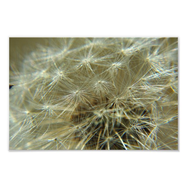 Fluffy Sphere - Photo Print (Front)