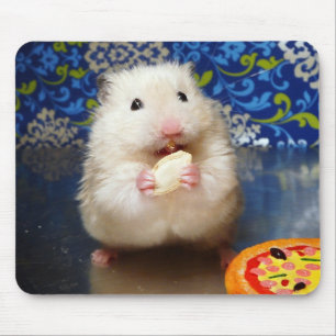 Fluffy syrian hamster Kokolinka eating a seed Mouse Pad