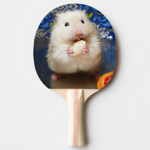 Fluffy syrian hamster Kokolinka eating a seed Ping Pong Paddle