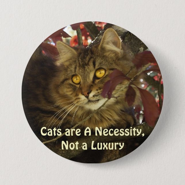 Fluffy TABBY CAT Pet Lover Buttons (Front)