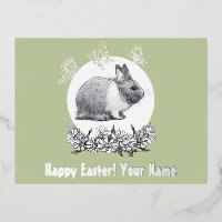 Fluffy the rabbit