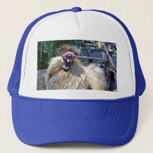 Fluffy Ugly Chicken, Hat