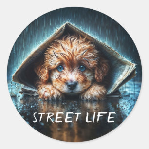 Fluffy wet puppy seeking warmth and comfort classic round sticker