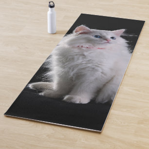 Fluffy white cat on black background yoga mat