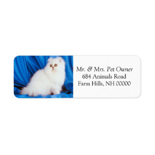 Fluffy White Cat Return Address Labels Stickers