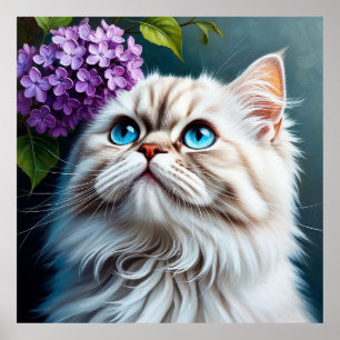 Fluffy White Cat With Blue Eyes Poster