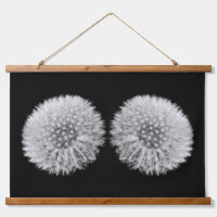 Fluffy White Dandelion Twins Black And White