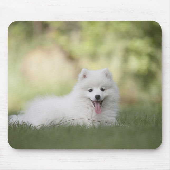 Fluffy White Keeshond Puppy Mouse Pad (Front)