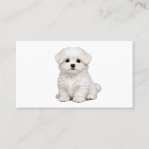 Fluffy White Maltese Puppy Portrait Cute Dog Lover Business Card
