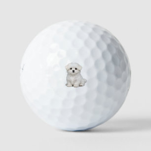 Fluffy White Maltese Puppy Portrait Cute Dog Lover Golf Balls