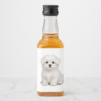 Fluffy White Maltese Puppy Portrait Cute Dog Lover Liquor Bottle Label
