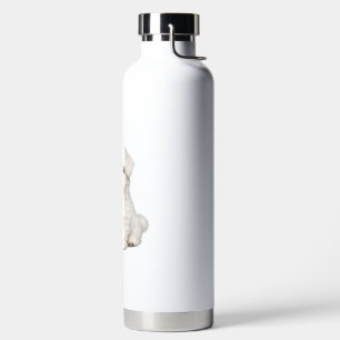 Fluffy White Maltese Puppy Portrait Cute Dog Lover Water Bottle