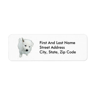 Fluffy White Puppy Photograph
