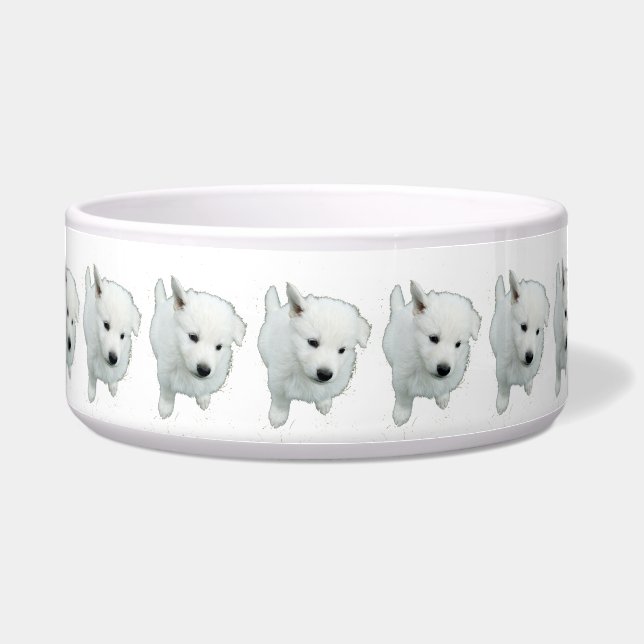 Fluffy White Puppy Photograph (Front)