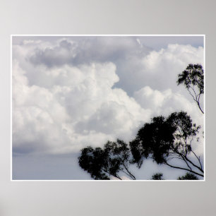 Fluffy Whites Poster