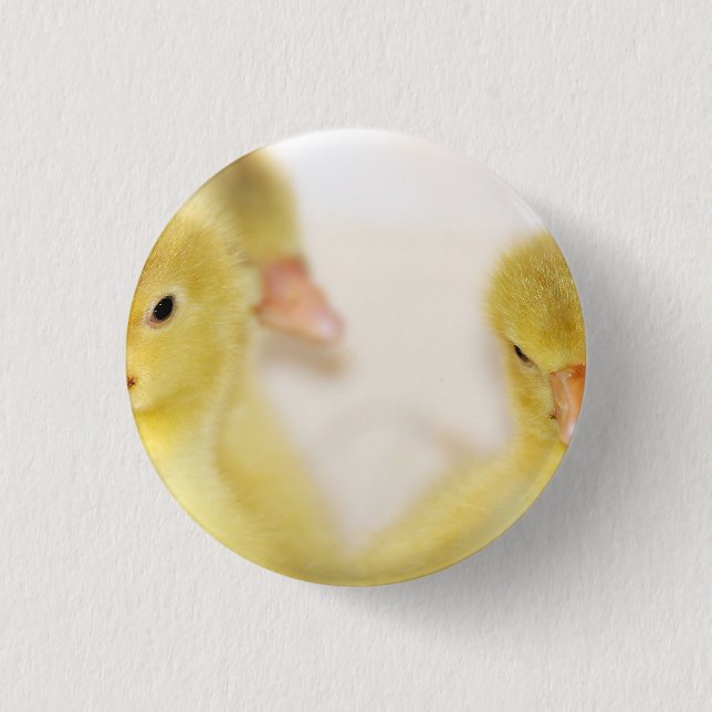 Fluffy Yellow Ducklings 3 Cm Round Badge (Front)