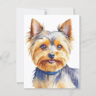 Fluffy Yorkshire Terrier Soft and Gentle Dog Art Postcard