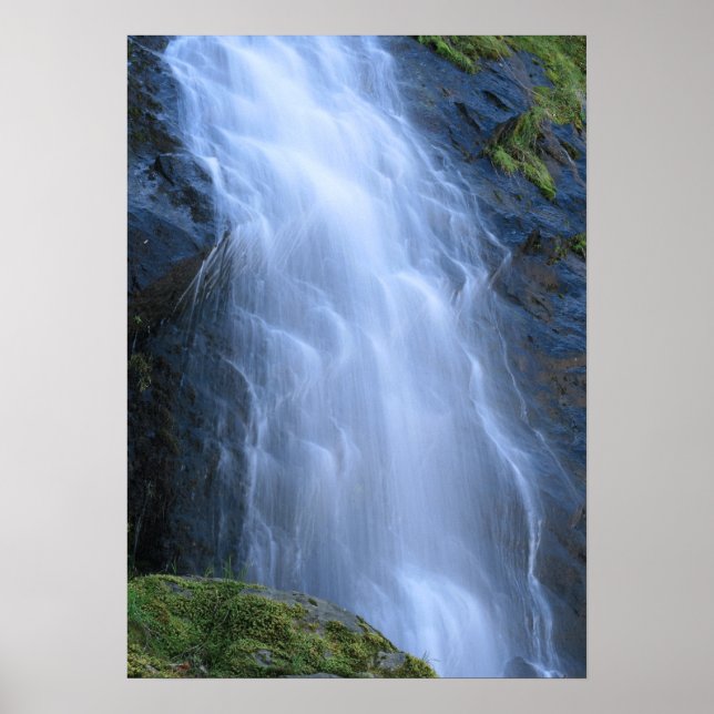 "Fluid Motion" Poster (Front)