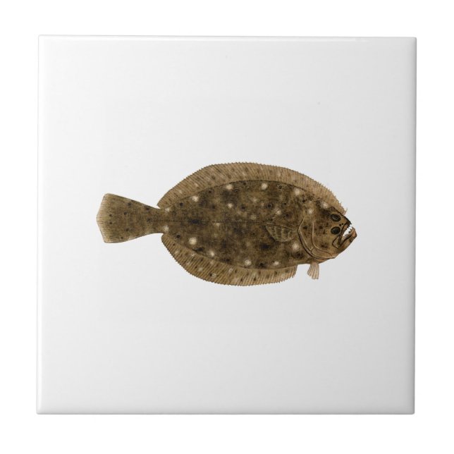 Fluke - Summer Flounder Tile (Front)