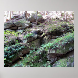 Flume Gorge Poster