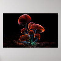 Fluorescence (2009)