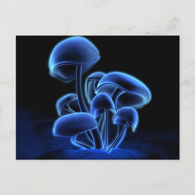 Fluorescence Postcard (Front)