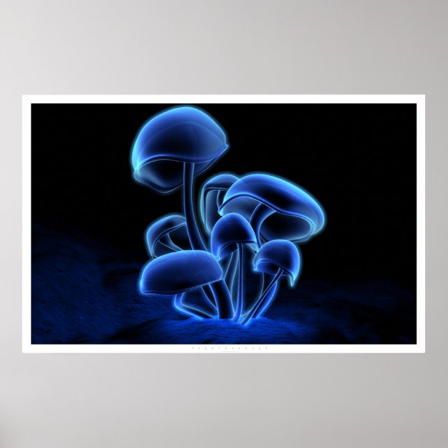 Fluorescence Poster (Front)