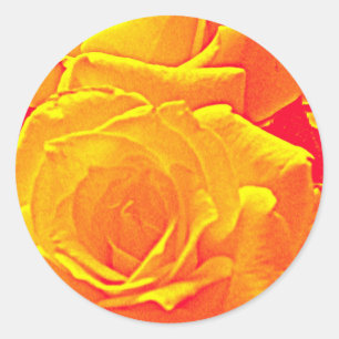 fluorescent rose orange classic round sticker