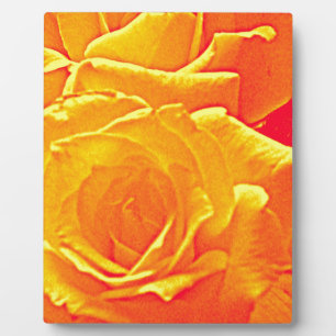 fluorescent rose orange plaque