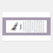 Fluorite Crystal Meaning Jewellery Gemstone Packag