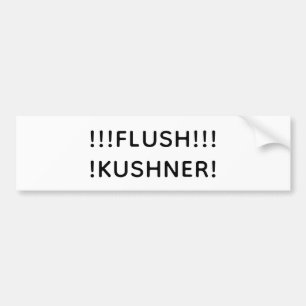 FLUSH KUSHNER Hankamer Artjunkhaus Splash-Art Fun! Bumper Sticker