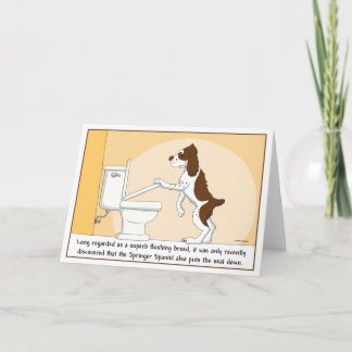 Flushing Springer Spaniel card