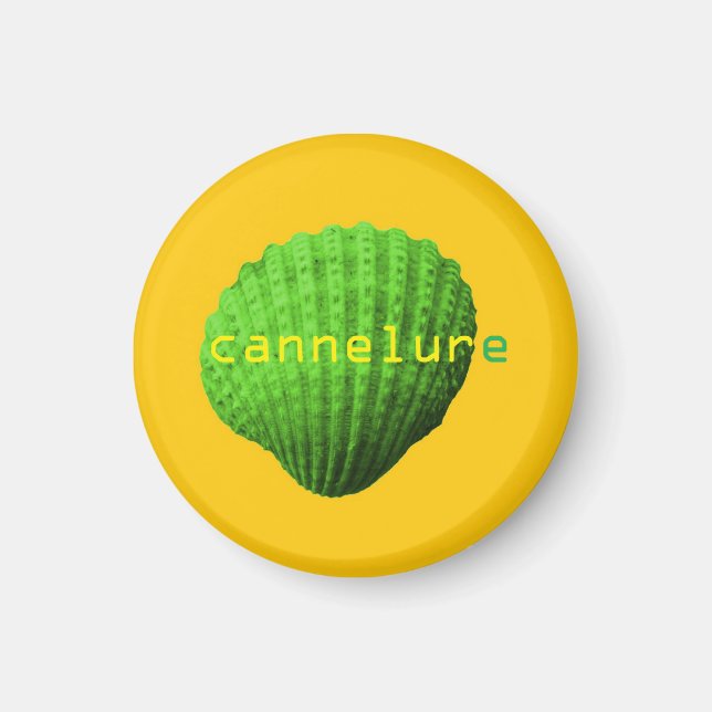 fluting shell magnet (Front)