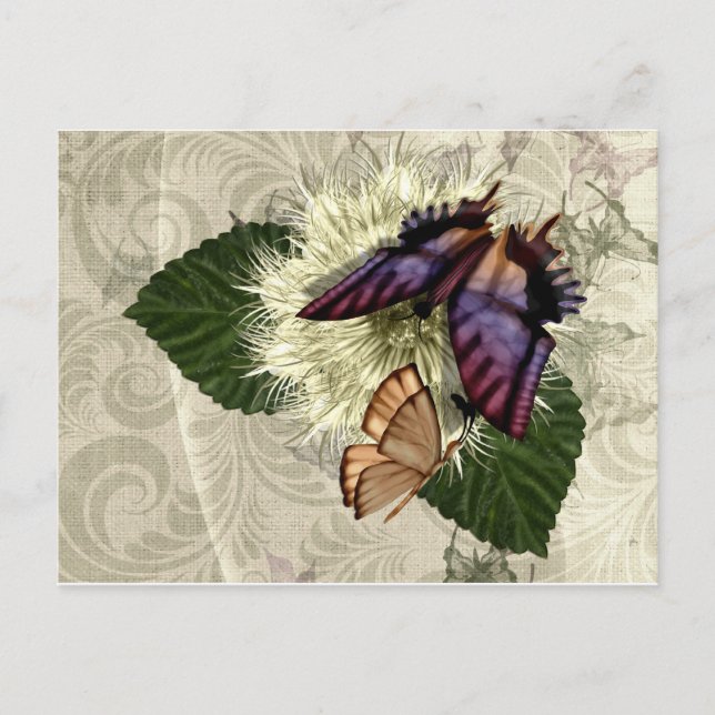 Flutter Magic Postcard (Front)
