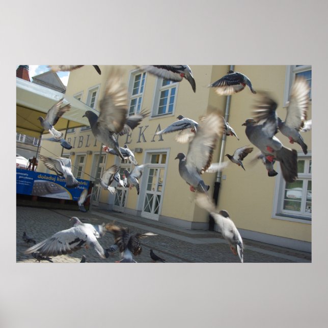 Flutter Poster (Front)