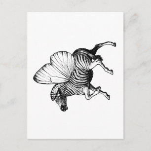 Flutter Zebra Postcard