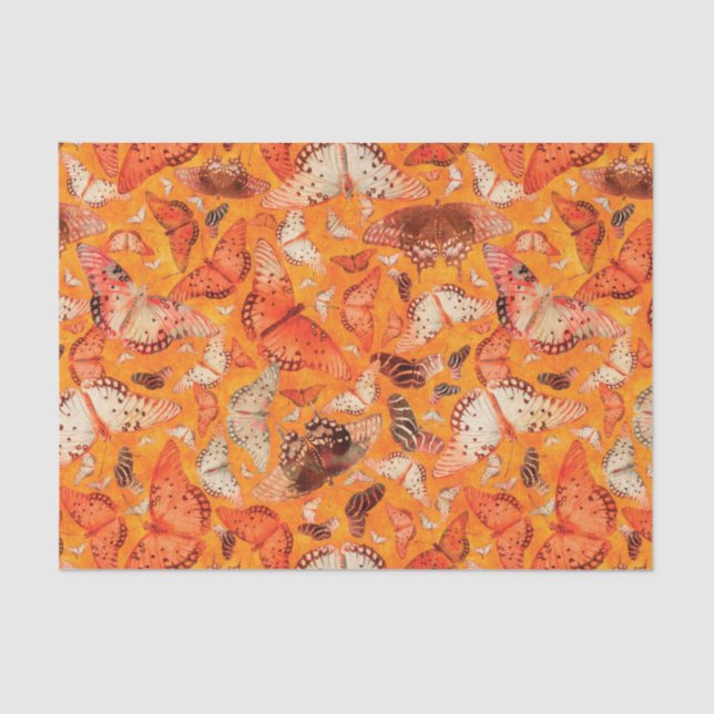 Flutterby Fall Butterflies Orange Tissue Paper (Front)