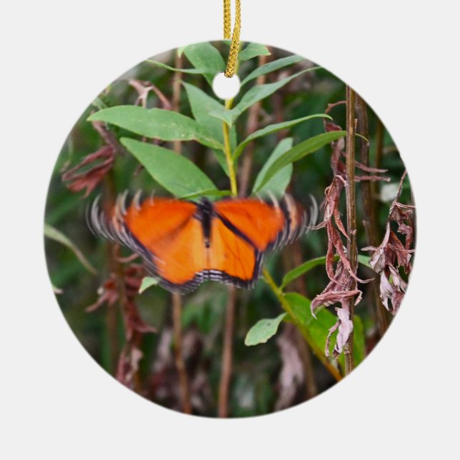 Fluttering Butterfly Photo Ornament  (Front)
