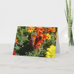 "Fluttering" Get Well Card