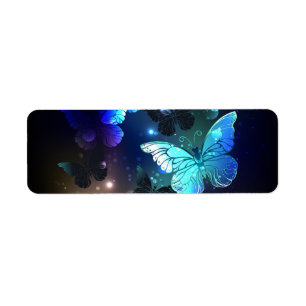 Fluttering Night Butterfly