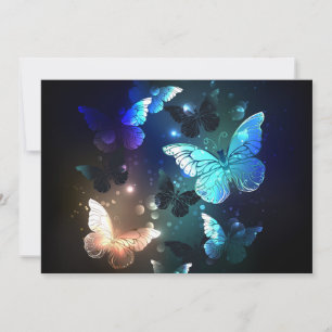 Fluttering Night Butterfly