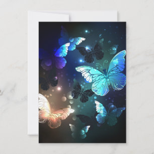 Fluttering Night Butterfly Announcement