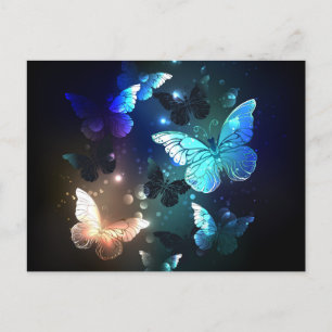 Fluttering Night Butterfly Invitation Postcard
