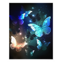 Fluttering Night Butterfly