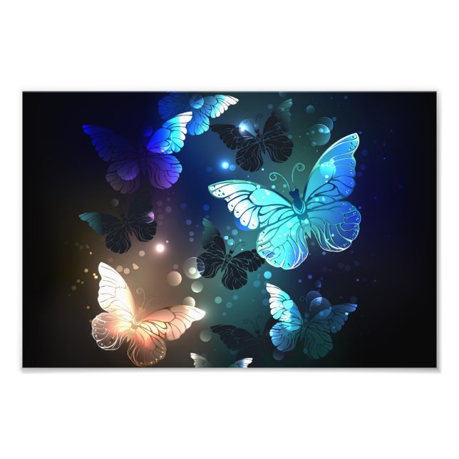 Fluttering Night Butterfly Photo Print (Front)