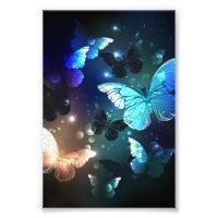 Fluttering Night Butterfly