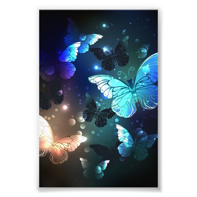 Fluttering Night Butterfly Photo Print (Front)