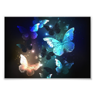 Fluttering Night Butterfly Photo Print