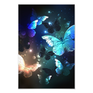 Fluttering Night Butterfly Photo Print