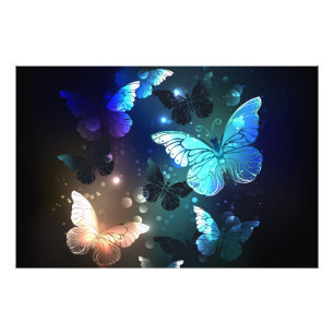 Fluttering Night Butterfly Photo Print
